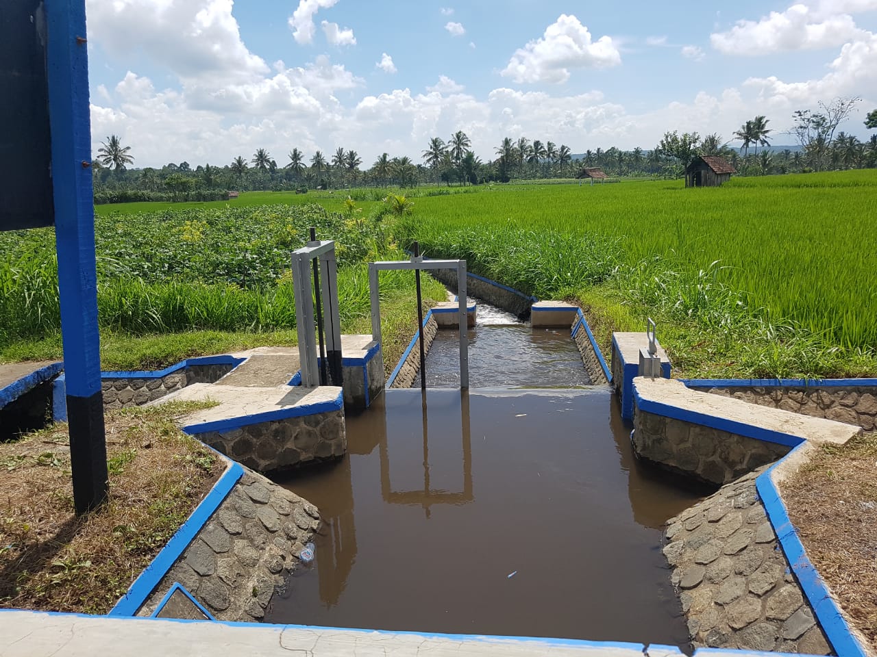 Terapkan Seminggu Dua Kali Bersih Bersih Saluran Irigasi Daerah Jawa Timur Mitratoday 0376