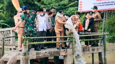 Kabupaten Tulang Bawang