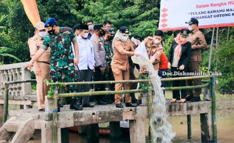 Kabupaten Tulang Bawang