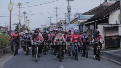 Kabupaten Tulang Bawang