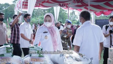 Kabupaten Tulang Bawang