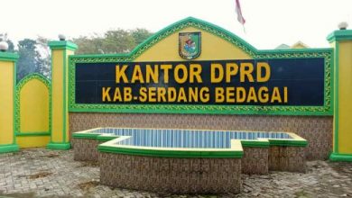 Kabupaten Serdang Bedagai