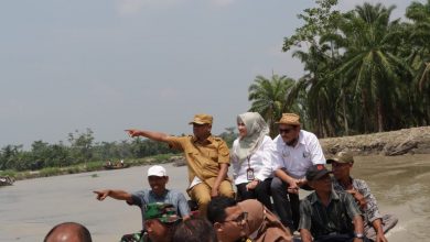 Kabupaten Serdang Bedagai