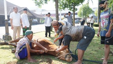 Kabupaten Malang